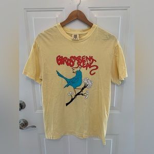 Birds Aren’t Real Mens T-shirt